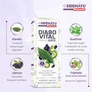 Baidyanath Asli Ayurved Diabo Vital Juice - 1L | Ayurvedic Juice for Diabetic Care With Karela, Jamun, Neem & Gudmar & 17 More