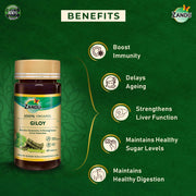 Zandu Giloy Tablets with 100% Pure Giloy Extract | Ayurvedic Immunity Booster | Protects against Infections | Improves Liver Function |100% Ayurvedic & Vegetarian (60 Tabs)