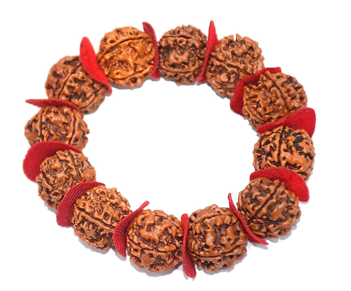 RUDRADIVINE 5 MUKHI RUDRAKSHA BRACELET