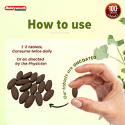 Baidyanath Arjun -60 Tablets (Pack of 2) | Ayurvedic Arjuna Extract | Supports Circulation, Lipid, Cholesterol Balance & Herbal Heart Wellness Supplement