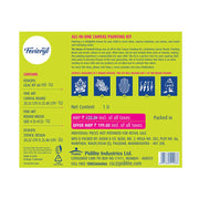 Fevicryl All in One Canvas Kit with 1 Canvas, 1 Brush, 1 Acrylic Colour Kit, Stencils | Pack of 2 Sets | DIY Art & Craft Kit | Ideal Painting Gift Set for Artists, Students, Hobbyists
