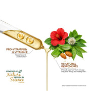 Dabur Vatika Ayurvedic Shampoo - 340 ml | Damage Therapy | With Power of 10 Ingredients for Solving 10 Hair Problems | No Parabens | For All Hair Types