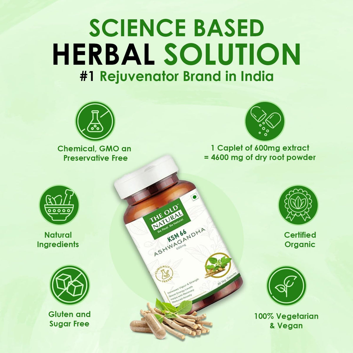The Old Natural KSM-66 Ashwagandha 600 mg Veg Capsules | Extra Strength Natural Formulation | Support strength & energy | Withania Somnifera Extract - 60 Vegetarian Capsules