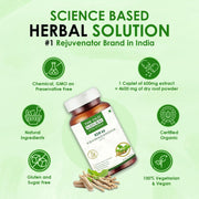 The Old Natural KSM-66 Ashwagandha 600 mg Veg Capsules | Extra Strength Natural Formulation | Support strength & energy | Withania Somnifera Extract - 60 Vegetarian Capsules