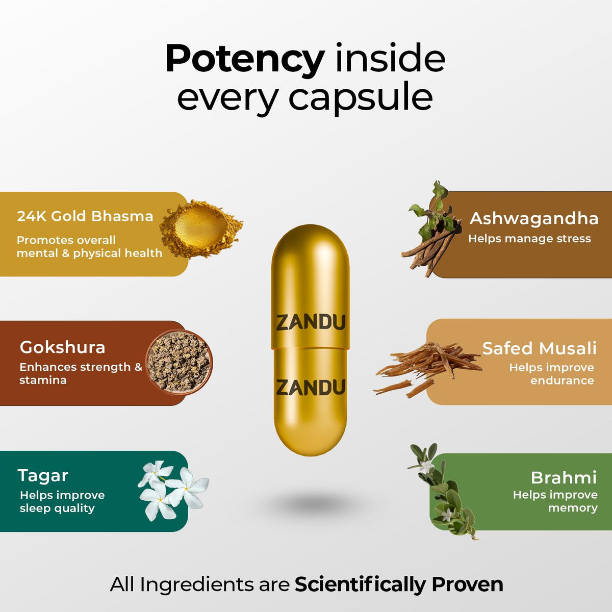 Zandu Ashwagandha Gold Plus I Reduces Stress & Cortisol, Improves Sleep and Muscle Recovery I Over 5% Withanolide Content | Scientifically Tested | 60 Caps