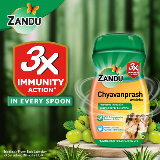 Zandu Chyawanprash Avaleha 910 g | Scientifically proven immunity booster | Boosts energy, stamina and memory | Powerful Ingredients to protect from common infections and illness | Great Taste