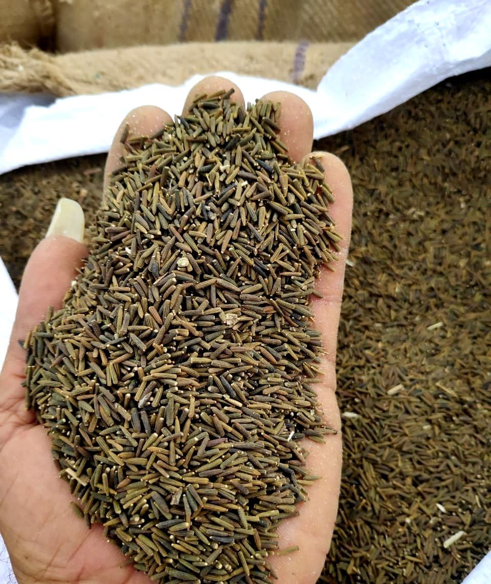 NatureVit Kali Jiri 100g | Original Bitter Cumin Seeds | Ayurvedic Herb for Detox, Diabetes & Digestion | Raw & Natural