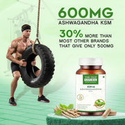 The Old Natural KSM-66 Ashwagandha 600 mg Veg Capsules | Extra Strength Natural Formulation | Support strength & energy | Withania Somnifera Extract - 60 Vegetarian Capsules