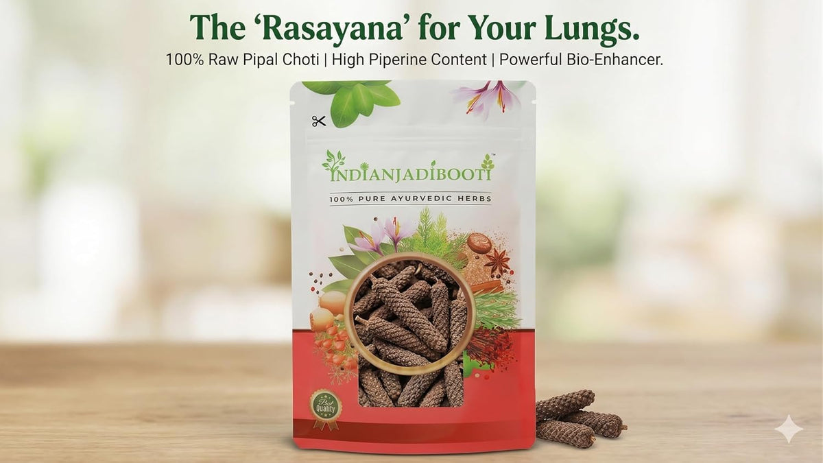 IndianJadiBooti Pipal Choti (Small Long Pepper/Pippali) – Pure Raw Pippali Whole – Natural Respiratory Rejuvenator & Metabolic Igniter – Helps Maintain Lung Health & Digestion | 400 Grams Pack