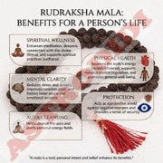 ASTRODIDI Black 5 Mukhi Rudraksha Mala for Wearing and Mantra Japa | Natural Five Face Panchmukhi Rudraksh Beads Mala for Men and Women (Beads Size 7-8 MM)