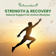 IndianJadiBooti Ashwagandha Powder 250g (Asgandh Nagori) | Pure Withania Somnifera Root Churna | Supports Stress Relief, Daily Energy & Restful Sleep | Natural Vata Balance