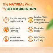 Baidyanath Asli Ayurved Isabgol Orange flavour- Psyllium Husk Powder 200gm+50g combo | Boosts Digestion | Constipation Relief Naturally | Rich Source Of Dietary Fiber Supplement