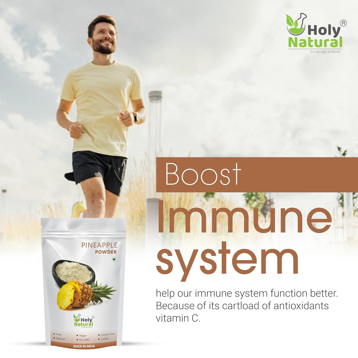 Holy Natural Pineapple Powder - 400 GM | No Added Sugar & Preservative | For Cake, Juice & Ice-cream