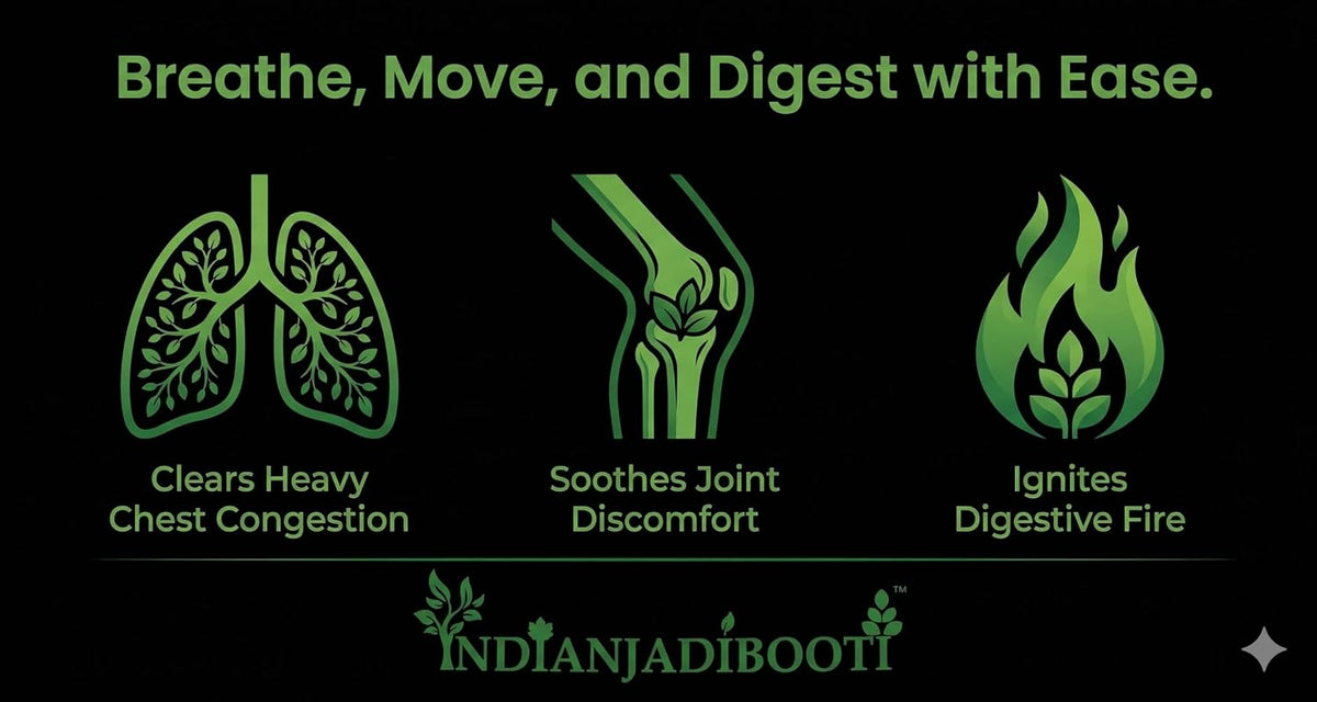 IndianJadiBooti Gaj Pipal (Scindapsus Officinalis/Badi Pippali) – Pure Raw Herb for Respiratory Support & Joint Comfort – Helps Ignite Digestive Fire & Balance Vata – 100 Grams | Pack Of 2