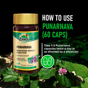Zandu Punarnava Capsules, With Goodness of Natural Punarnava Extract known for Good Gut Health & for Healthy Appetite, Helps for Heart and Urinary Health - 60 Veg capsules