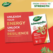 Dabur Ashwagandha Tablets - 60 tabs | General Wellness Tablets | Stress Relief | Rich in Antioxidants | Immunity Booster | Rich in Antioxidants | Rejuvenates Body