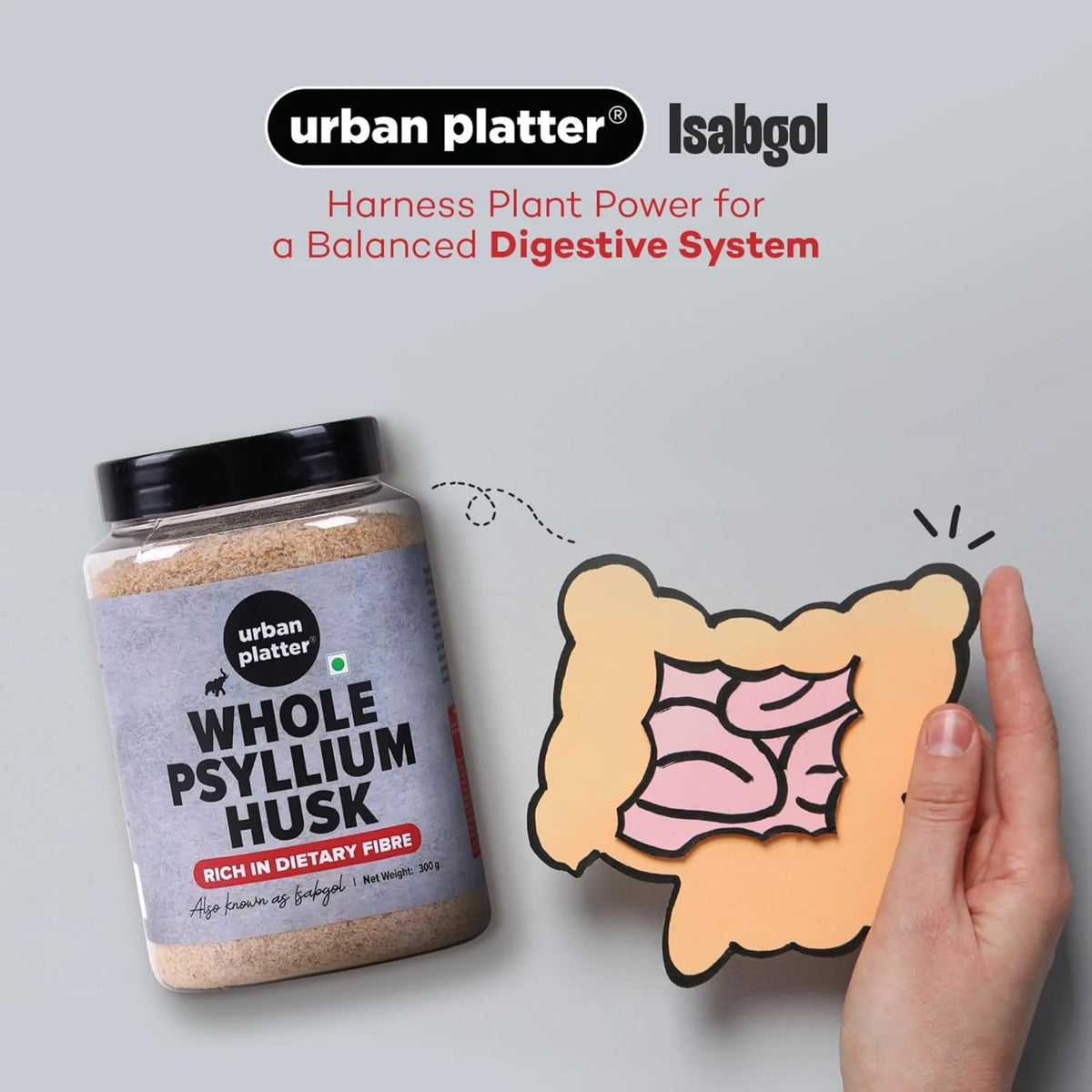 Urban Platter Isabgol, 300g (Whole Psyllium Husk, Rich in Dietary Fiber, Supports Digestive Health, Nature's Soluble Fiber)