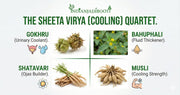 IndianJadiBooti Vajikarana-Sheetal Endurance Kit – Gokhru, Bahuphali, Shatavari & Safed Musli – Cooling Ayurvedic Herbs for High Vitality, Stamina & Pitta Balance – The "Summer Strength" 200g Pack