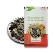 IndianJadiBooti Pure Sakmuniya Dali (Scammony Resin) | Raw Botanical for Deep Colon Cleanse, Occasional Constipation, Sluggish Digestion & Gut Detox | Veda-Grade Unani Herb (10g)
