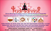 RUDRADIVINE Wealth and Money/Gold Plated Yantra Coin Inside/Durga Bisa Religious Card to Keep in Wallet for Lucky God ATM Cards/Size Same as Bank (Red)