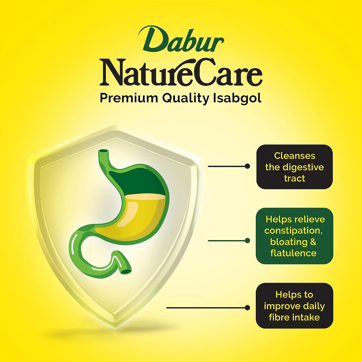Dabur Nature Care Isabgol| Provides Effective Relief from Constipation -375gm