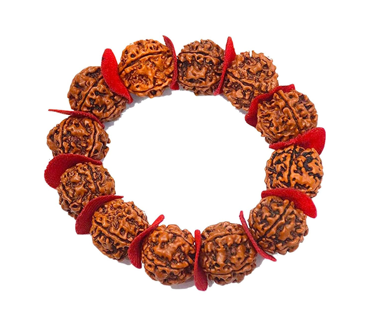 RUDRADIVINE 5 MUKHI RUDRAKSHA BRACELET
