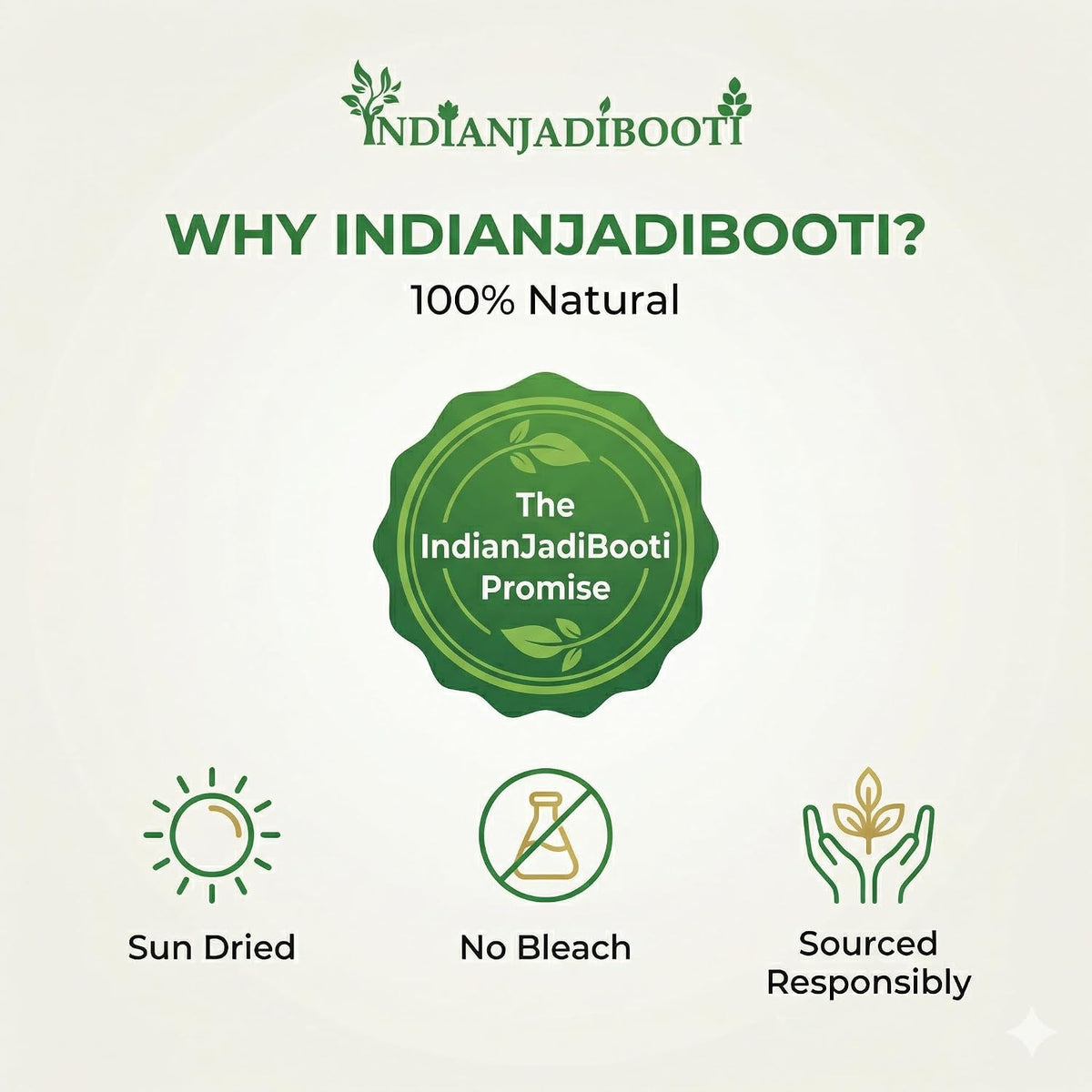 IndianJadiBooti Samundar Jhag(Cuttlefish Bone) | 3 Pack of 900g (Total 2.7kg) | Natural Samudra Phen/Cuttlebone | Premium Calcium for Birds, Turtles & Traditional Skin Care (Desalinated & Sun-Dried)