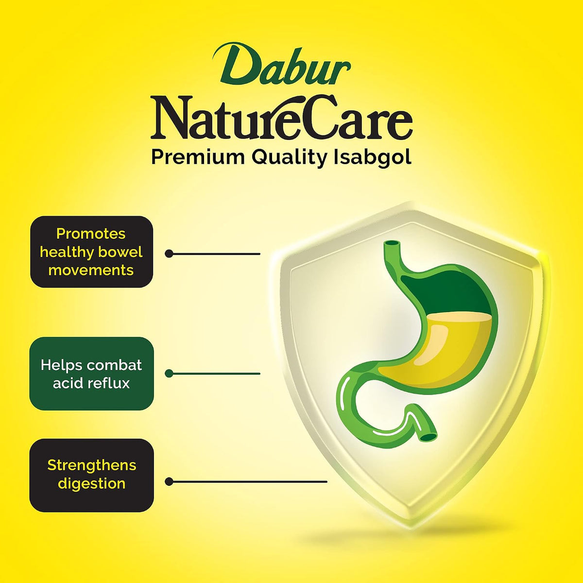 Dabur Nature Care Isabgol| Provides Effective Relief from Constipation -375gm