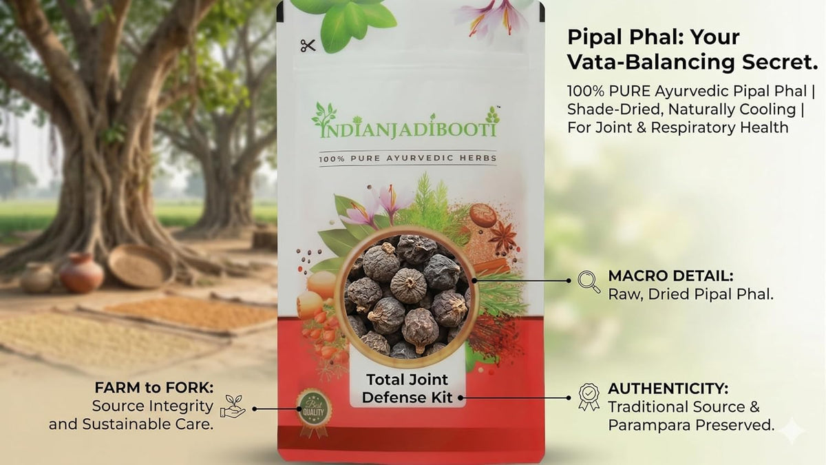 IndianJadiBooti Pipal Phal (Dried Peepal Fruit/Ficus Religiosa) – Pure Sacred Fig for Respiratory Support & Natural Cooling – Helps Maintain Vitality & Digestive Wellness