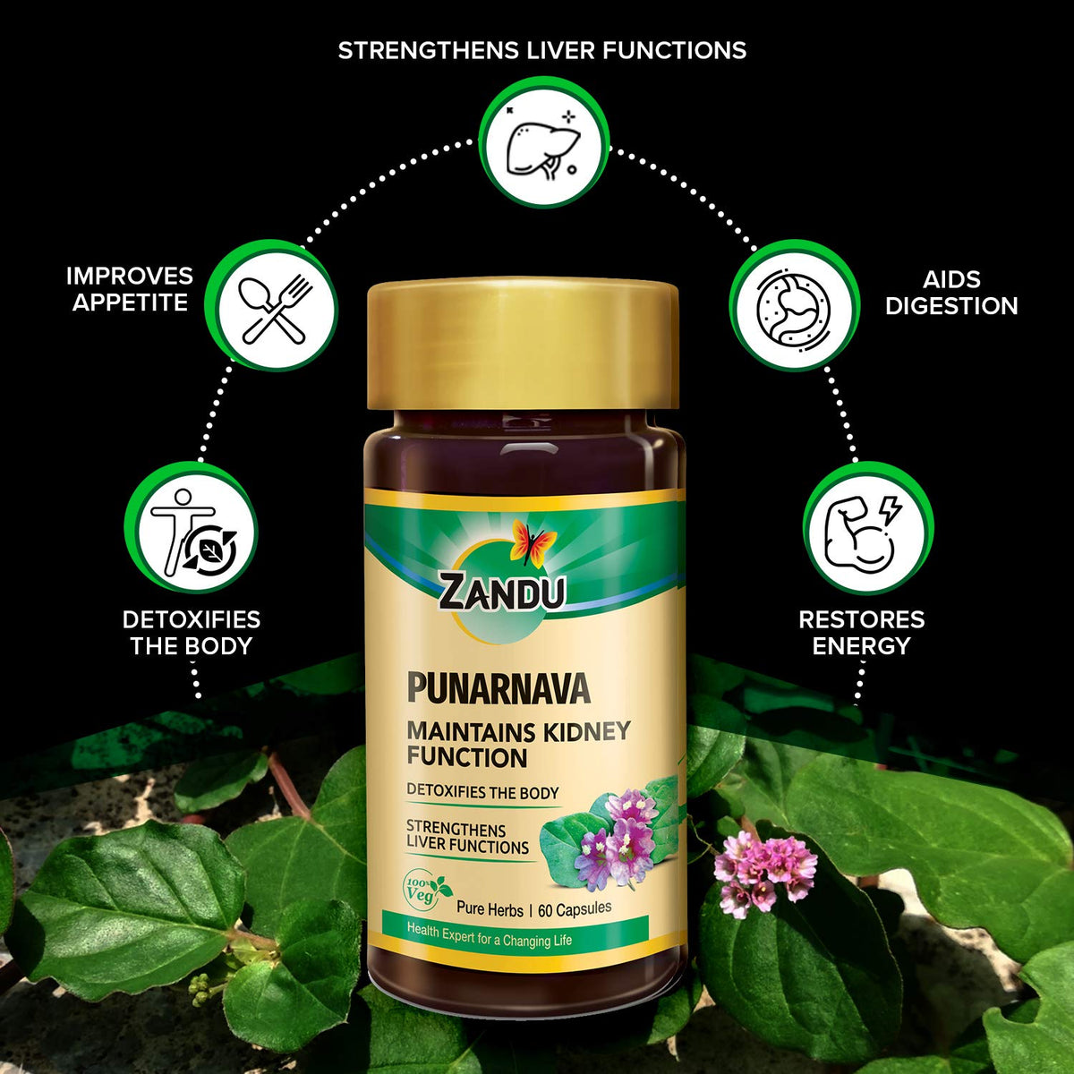 Zandu Punarnava Capsules, With Goodness of Natural Punarnava Extract known for Good Gut Health & for Healthy Appetite, Helps for Heart and Urinary Health - 60 Veg capsules