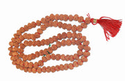 Rudradivine 10 Mukhi Indonesian Rudraksha Mala 10 face Indonesian rudraksha mala