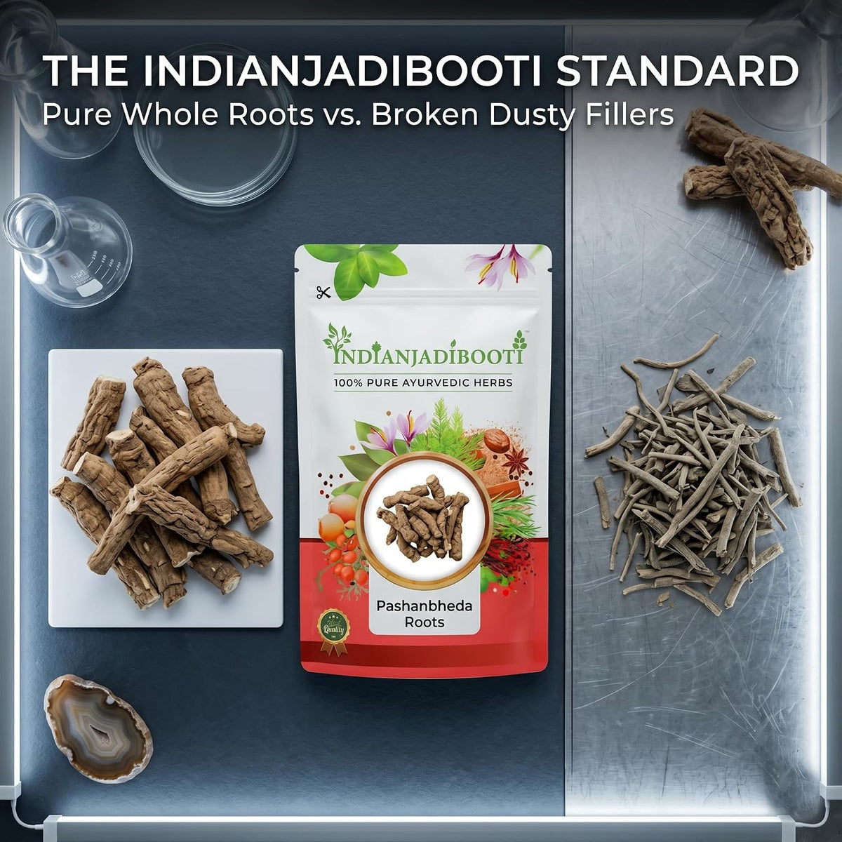 IndianJadiBooti Elite Kidney & Urinary Health Bundle: Varun Chaal, Pashanbheda & Punarnava – For Renal Detox, Stone Support & Fluid Balance – 100gm Each