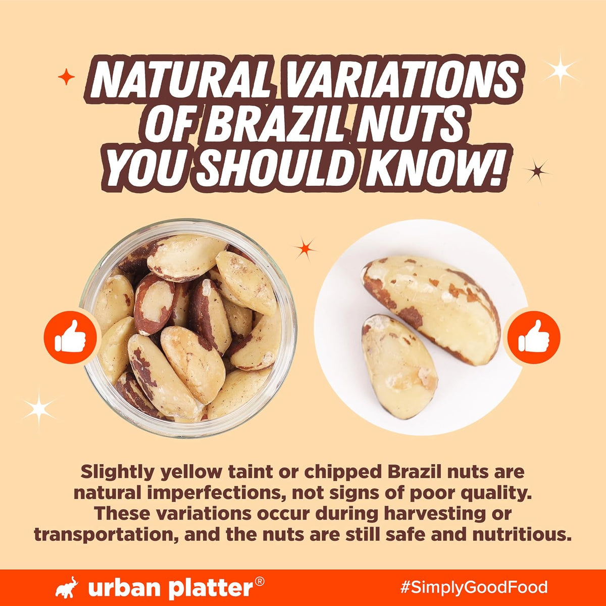 Urban Platter Brazil Nuts, 250g (Rich in Selenium | Superfood | Have 1 Daily | Product of Peru)