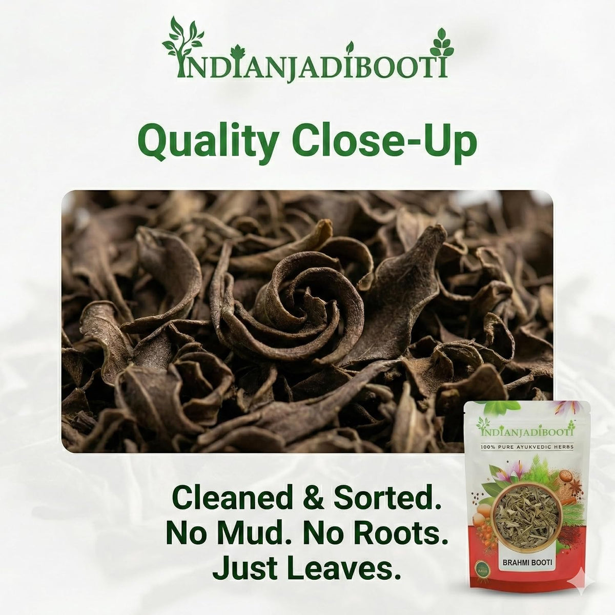 IndianJadiBooti Elite Brain Vitality Bundle: Brahmi Booti & Shankhpushpi Powder – For Superior Focus, Memory Retention & Neural Calm – 100gm Each