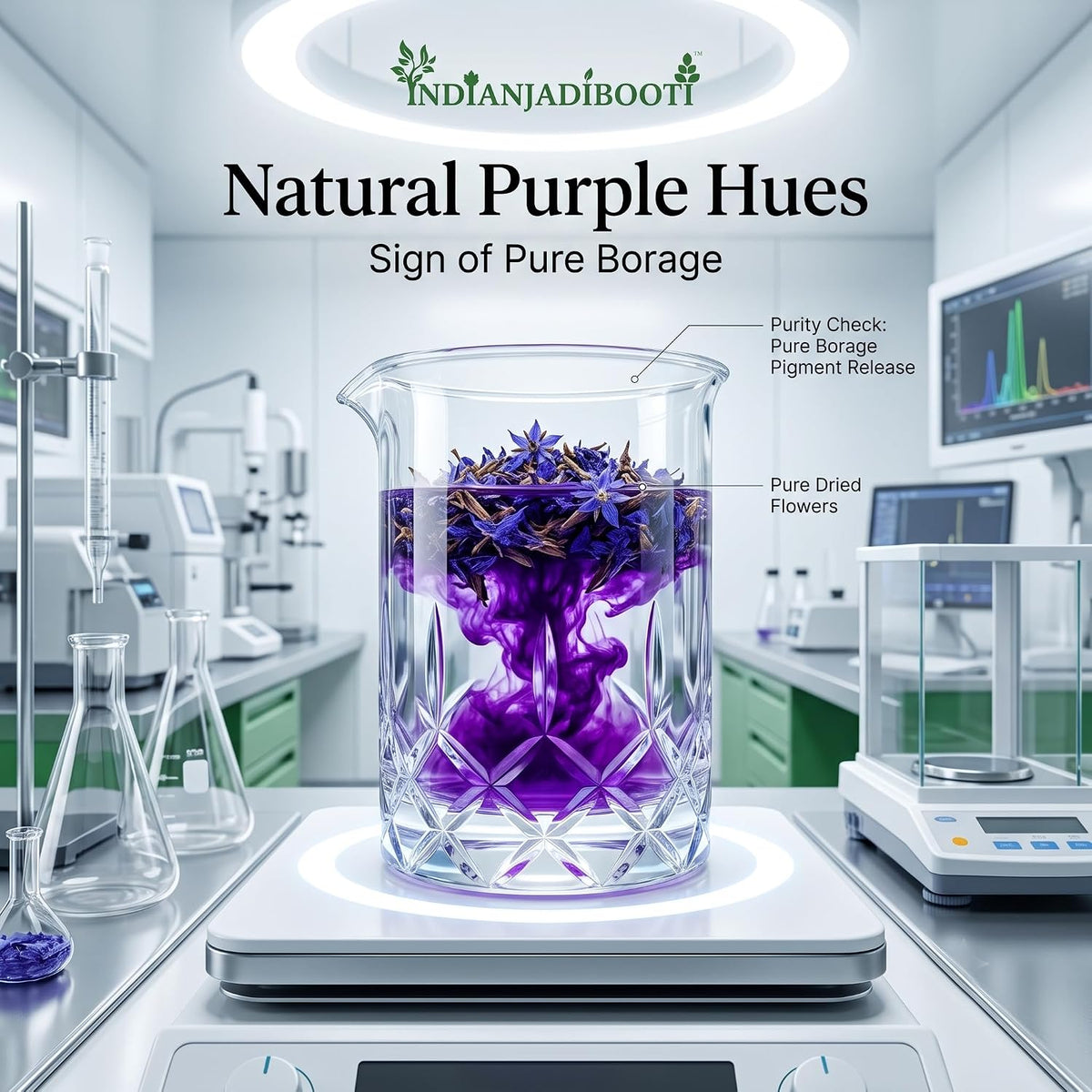 IndianJadiBooti Gule Gaozaban (Dried Borage Flowers) | 400g | Premium Purple Flowers | Natural Herbal Tea for Relaxation & Stress Relief | Traditional Cooling Tonic
