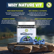 NatureVit Dried Blueberries 300 Gram | Sweet & Tart Antioxidant-Rich Berries | Healthy Snack for Kids & Adults | Ideal for Baking, Oats & Smoothies