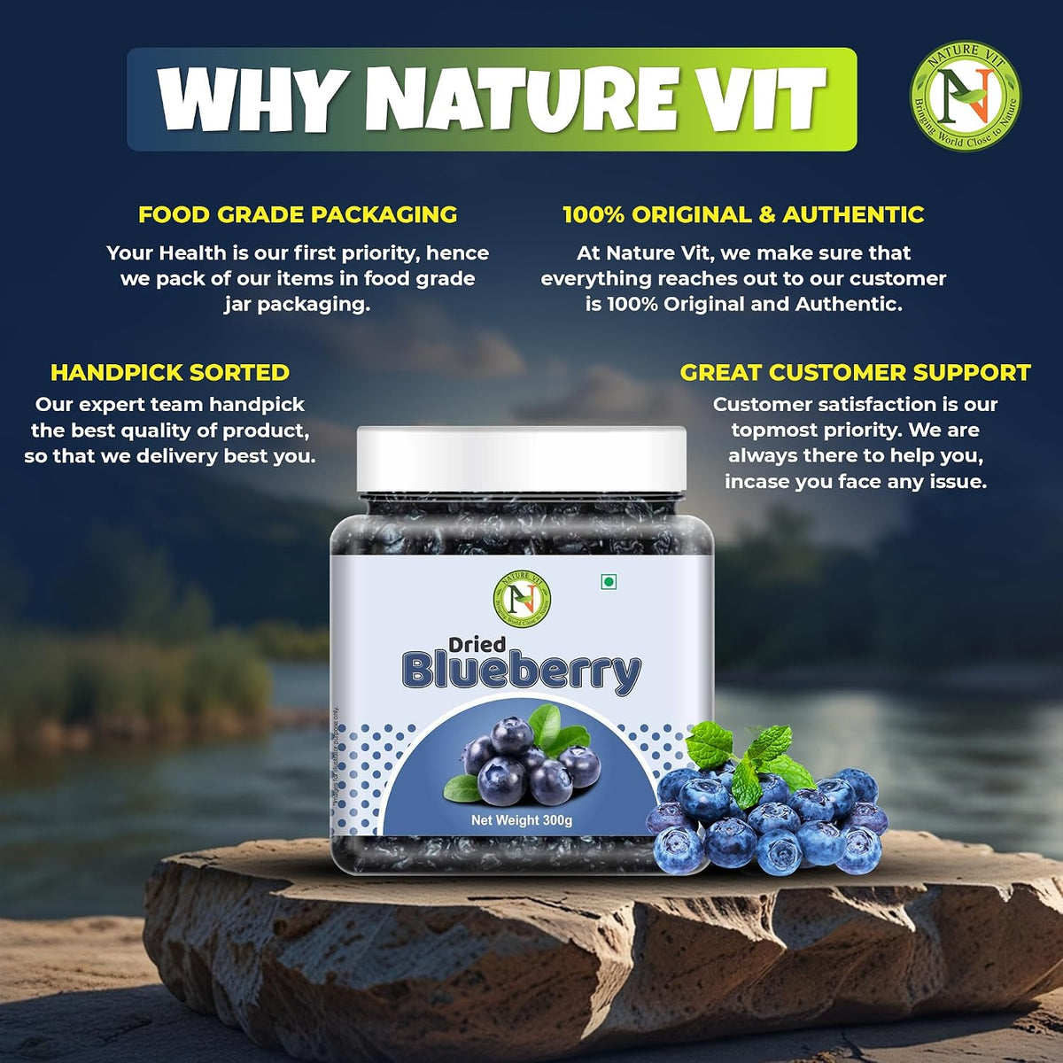 NatureVit Dried Blueberries 300 Gram | Sweet & Tart Antioxidant-Rich Berries | Healthy Snack for Kids & Adults | Ideal for Baking, Oats & Smoothies