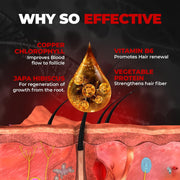 Beardo Beard and Hair Growth Oil - 50 ml for faster beard growth and thicker looking beard | Natural Actives Only | No Harmful Chemicals
