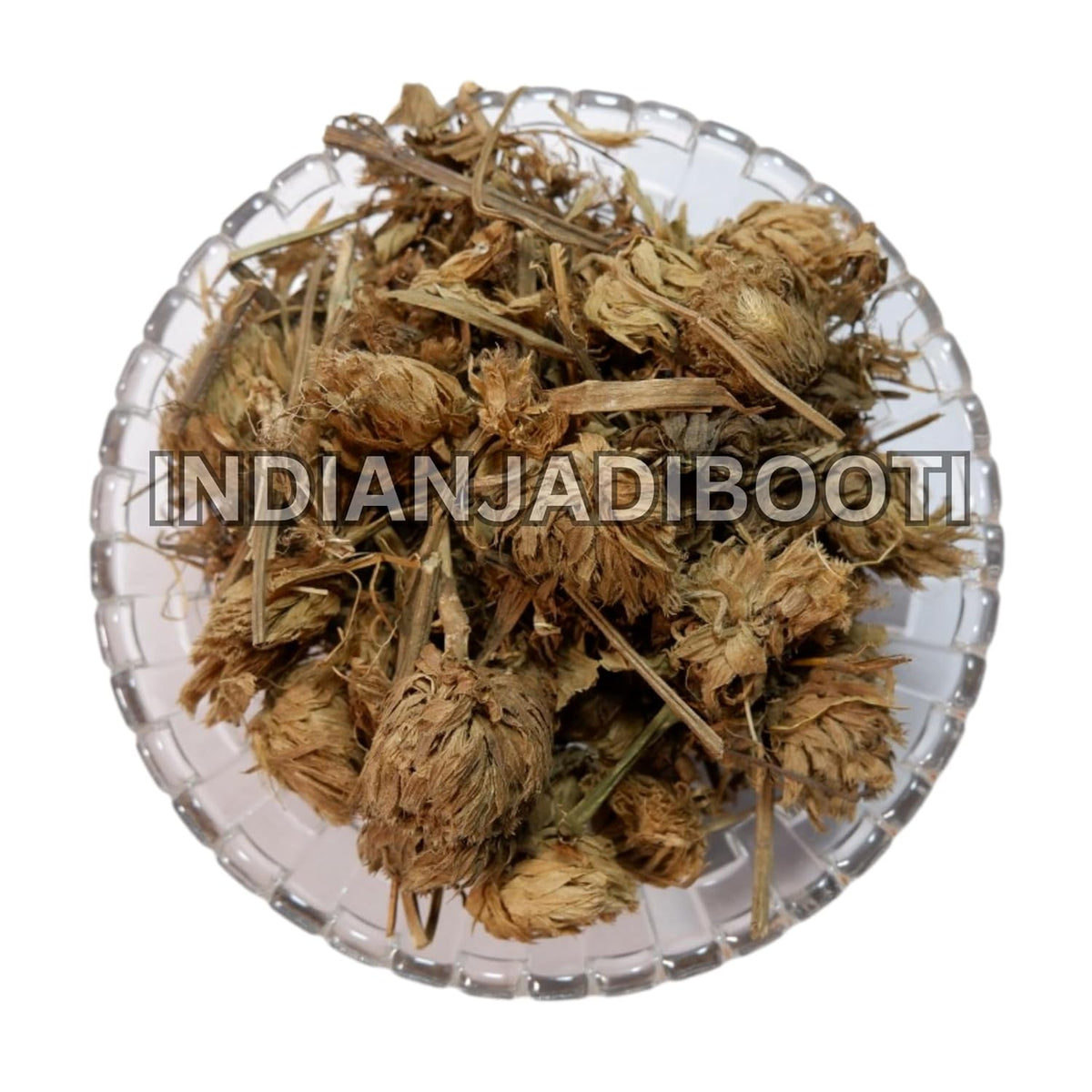 IndianJadiBooti Seeds Dronpushpi Panchang-Dronapushpi Panchang, 3 Packs Of 900 Grams