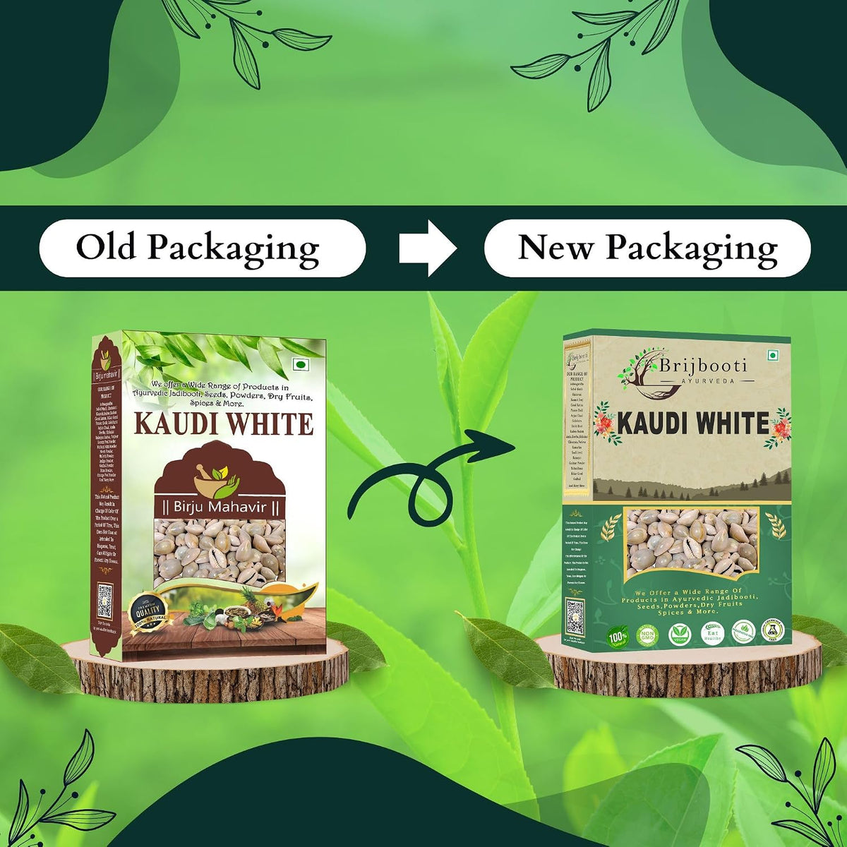 BrijBooti Natural White Kodi - White Kaudi - Safed Kawri - Kodi - Laxmi and Diwali Puja Decorative Article (21 Pieces)
