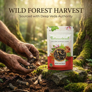 IndianJadiBooti Pure Black Musli Roots (Kali Musli) | Curculigo Orchioides | Traditional Ayurvedic Rasayana for Holistic Vitality, Physical Stamina & Rejuvenation