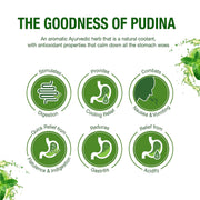 DABUR Pudin Hara Active 30ml (Pack of 4), Green