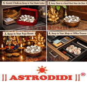 Astrodidi Gomti Chakra Stone & Rudraksha Beads Tree | Multicolour Spiritual Home Decor Gomati Stones Showpiece | Traditionally Associated with Prosperity and Good Fortune | Decorative Gift Item