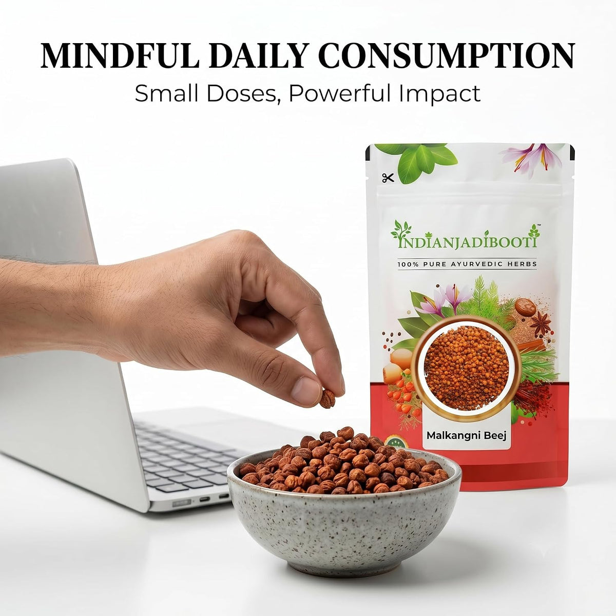 IndianJadiBooti Malkangni Beej - Jyotishmati Seeds - Celastrus paniculatus | Malkangani Seed | Stress Relief Good for Appetite (100 Grams pack)