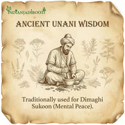 IndianJadiBooti Pure Gaozaban Leaves (Onosma Bracteatum) | Botanical for Cognitive Harmony, Respiratory Comfort & Pitta Balance - 250g