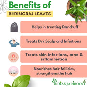 IndianJadiBooti Pure Bhringraj Dry (Whole Herb) | Raw Eclipta Alba for DIY Hair Oil Infusions, Scalp Nourishment & Hepatic Vitality