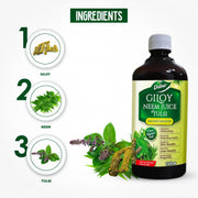 Dabur Giloy Neem Tulsi Juice and Honey, Immunity Booster Combo