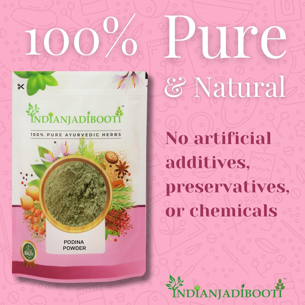 IndianJadiBooti Podina Mint Powder, 900 Grams Pack