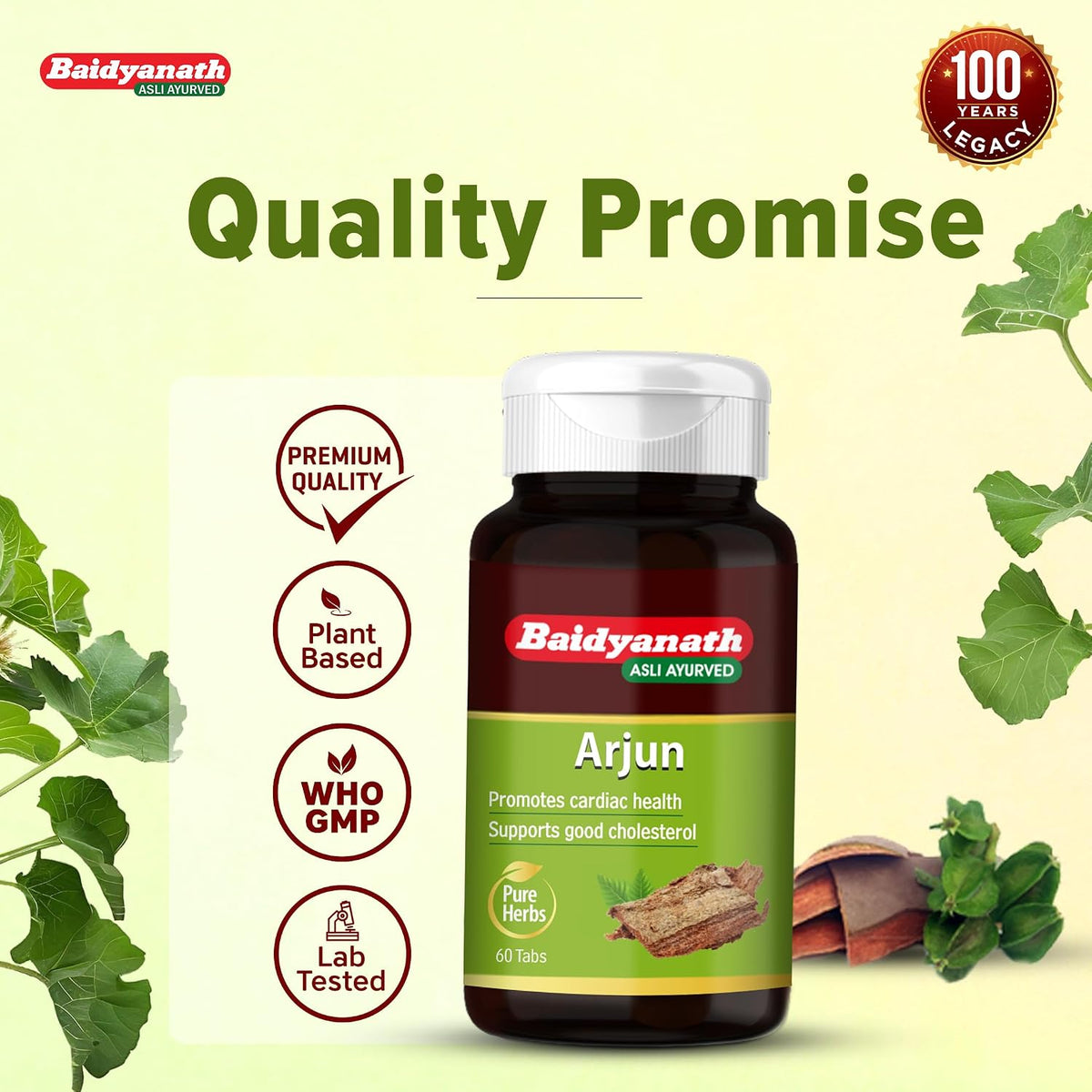 Baidyanath Arjun -60 Tablets (Pack of 2) | Ayurvedic Arjuna Extract | Supports Circulation, Lipid, Cholesterol Balance & Herbal Heart Wellness Supplement