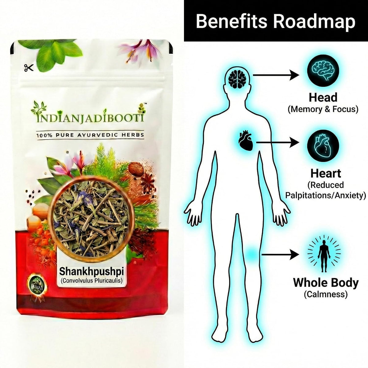 IndianJadiBooti Shankhpushpi | Shankhapushpi | Convolvulus Pluricaulis | Natural Brain Tonic for Memory, Focus & Better Sleep | Pure Dried Whole Herb (Panchang) | 100g